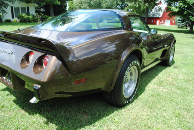 1979 Chevrolet Corvette - photo 10