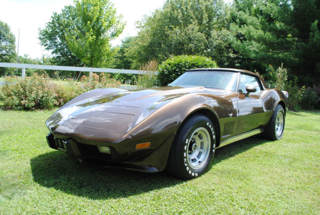 1979 Chevrolet Corvette - photo 2