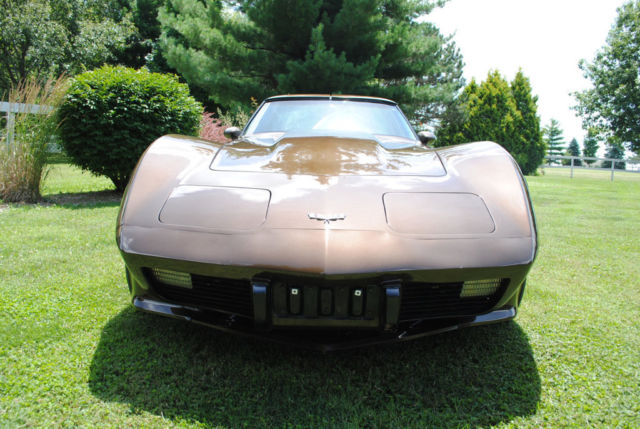 1979 Chevrolet Corvette - photo 3