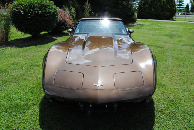 1979 Chevrolet Corvette - photo 4