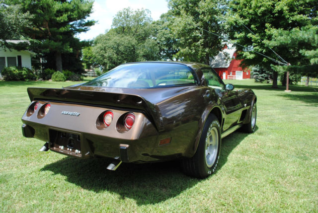 1979 Chevrolet Corvette - photo 6
