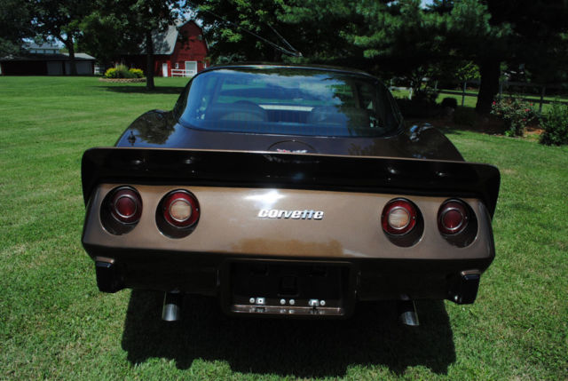 1979 Chevrolet Corvette - photo 7