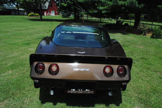 1979 Chevrolet Corvette - photo 8