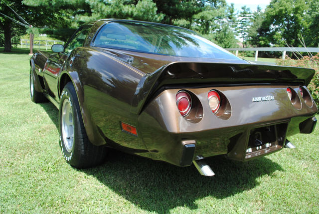 1979 Chevrolet Corvette - photo 9