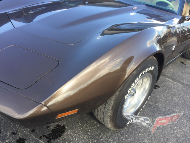 1979 Chevrolet Corvette - photo 6