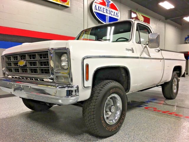 1979 Chevrolet C/K Pickup 1500 scottsdale - photo 3