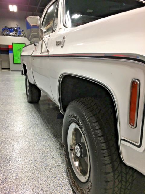 1979 Chevrolet C/K Pickup 1500 scottsdale - photo 6