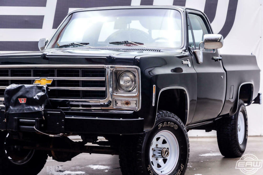 1979 Chevrolet Other Pickups FLEETSIDE - photo 12