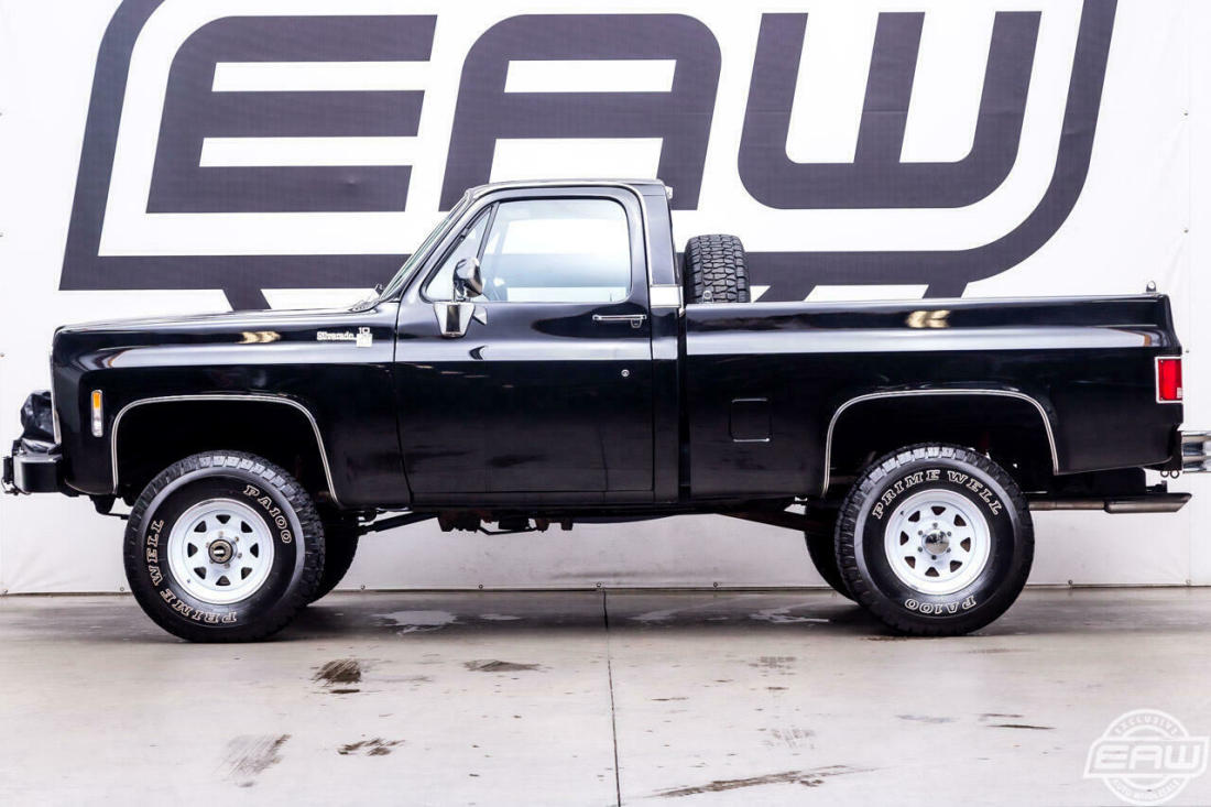 1979 Chevrolet Other Pickups FLEETSIDE - photo 3