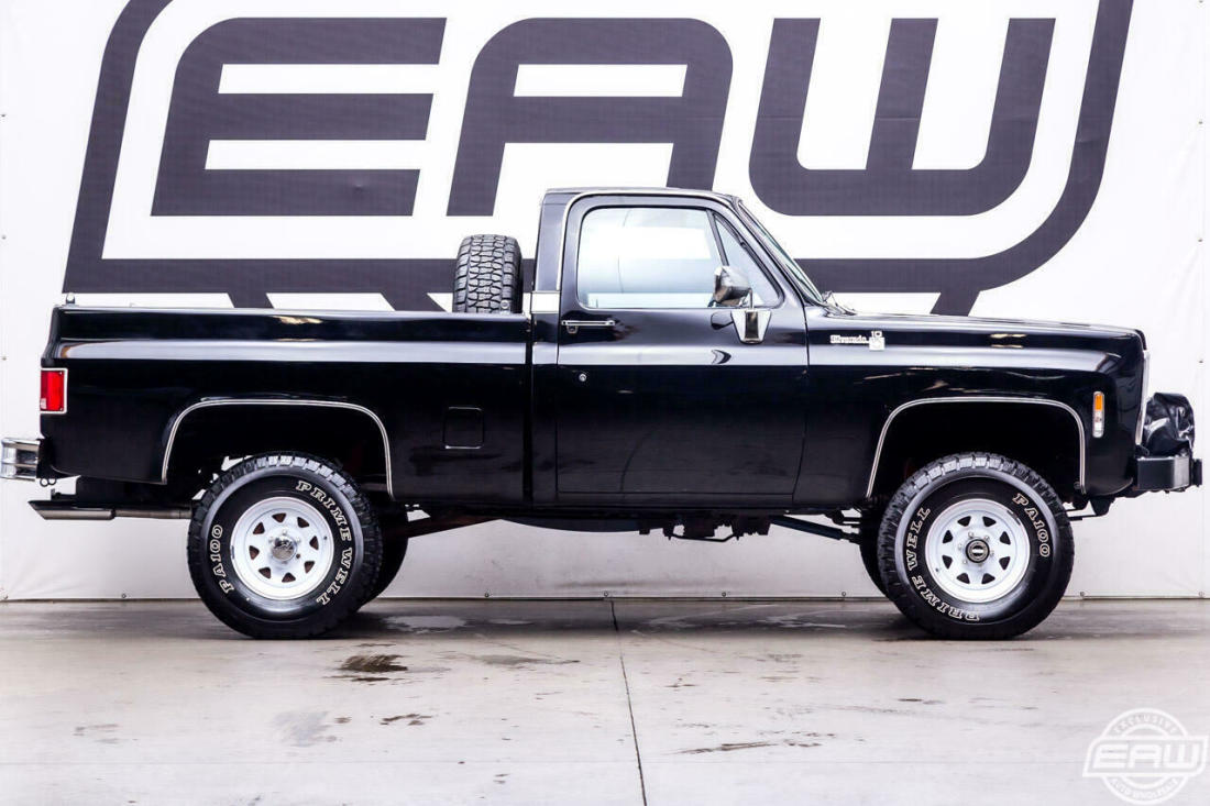 1979 Chevrolet Other Pickups FLEETSIDE - photo 8