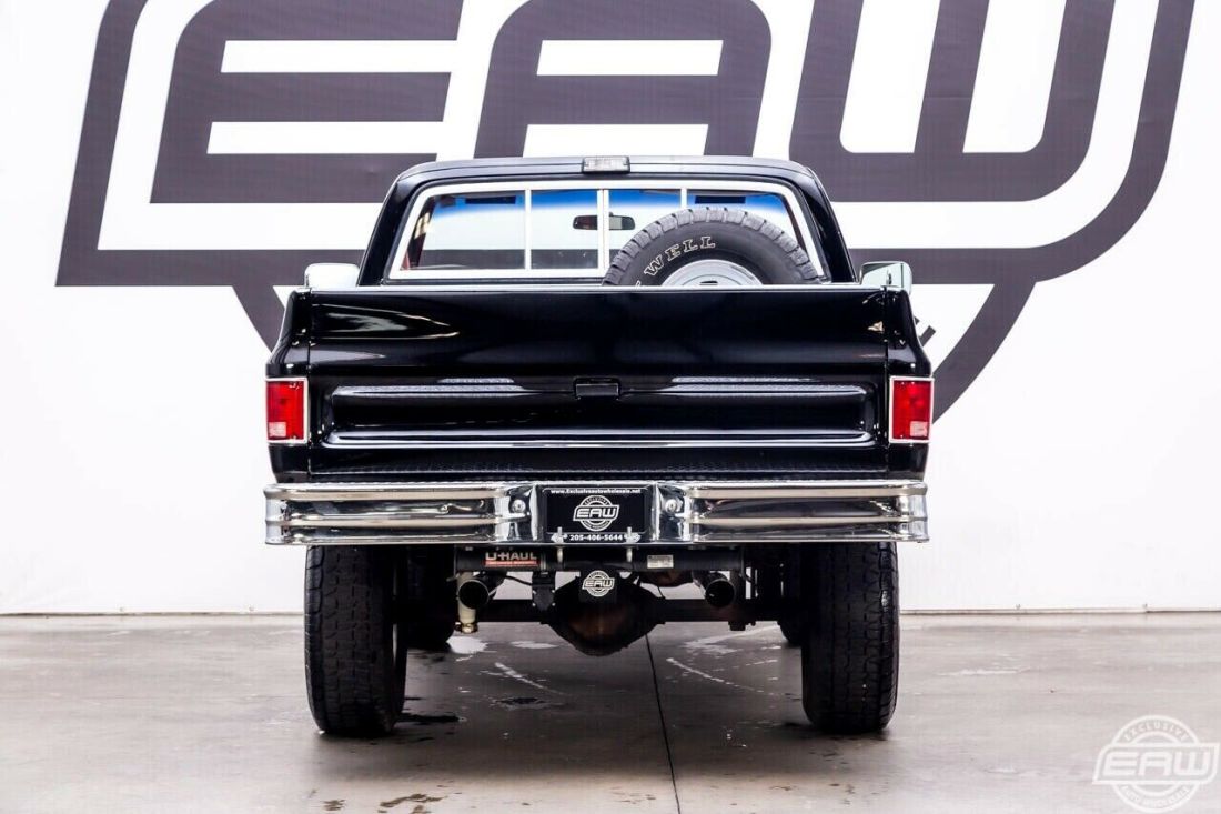 1979 Chevrolet Other Pickups FLEETSIDE - photo 10