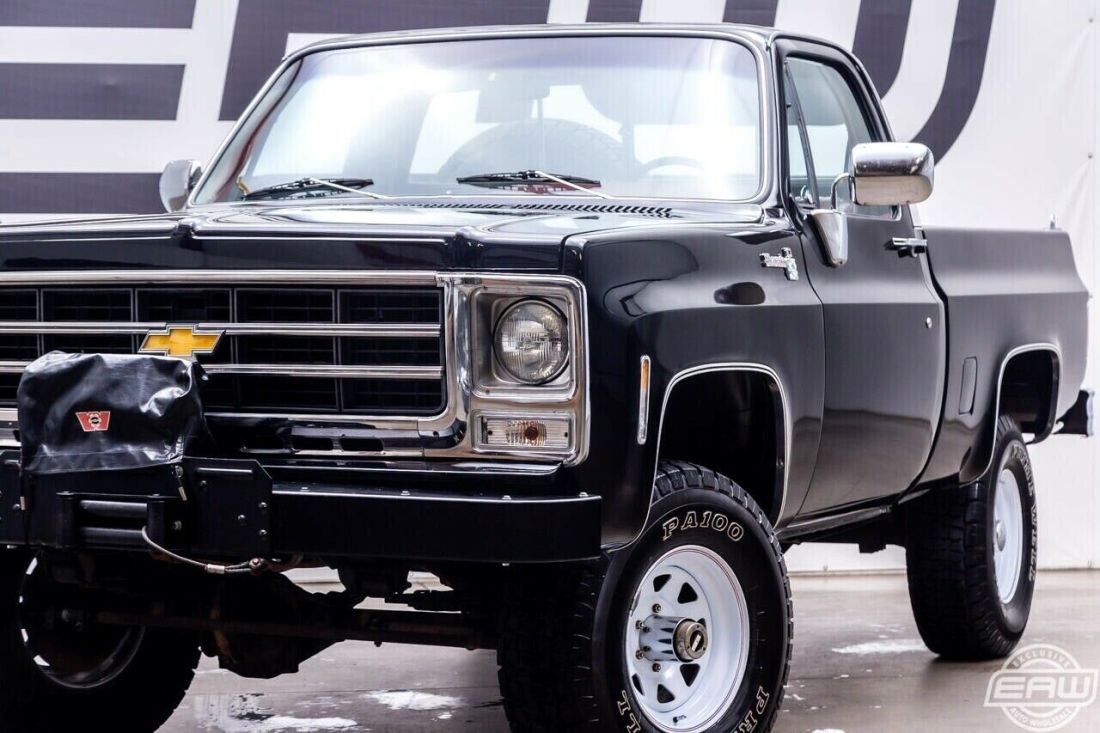 1979 Chevrolet Other Pickups FLEETSIDE - photo 12