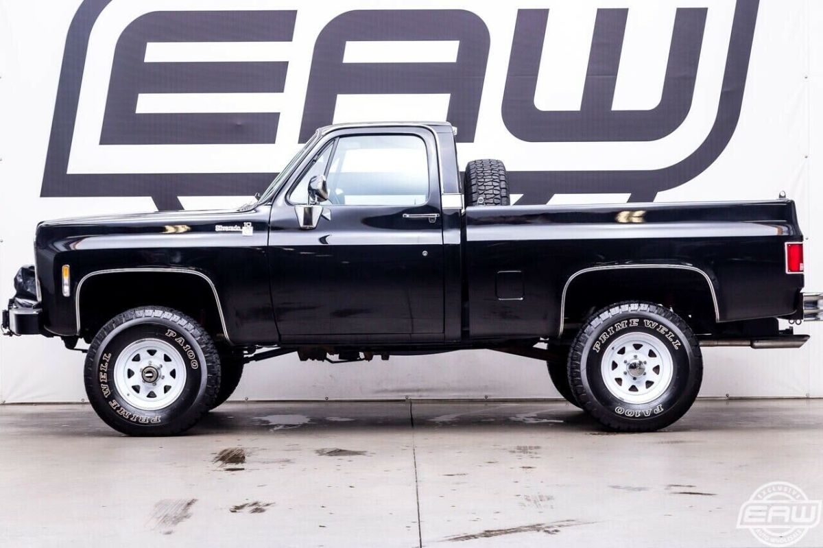 1979 Chevrolet Other Pickups FLEETSIDE - photo 3