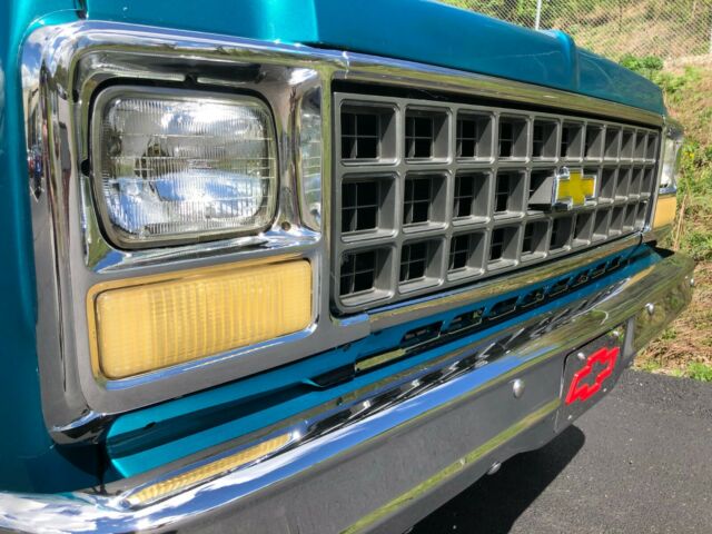 1979 Chevrolet C/K Pickup 1500 Scottsdale - photo 13