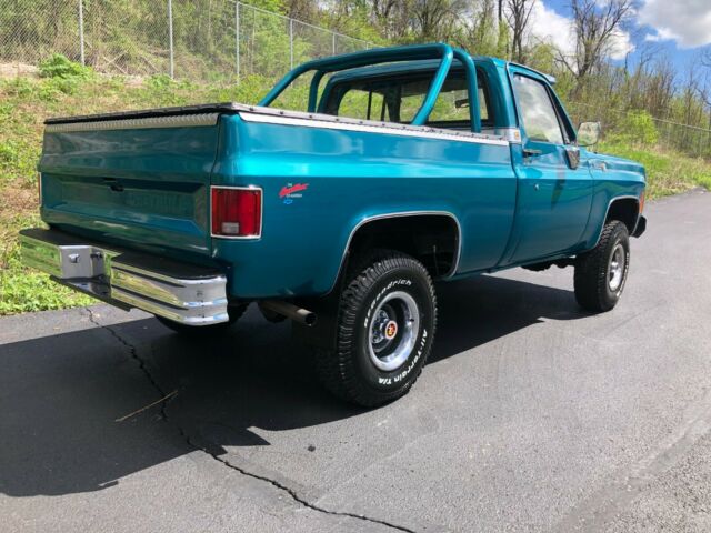 1979 Chevrolet C/K Pickup 1500 Scottsdale - photo 8