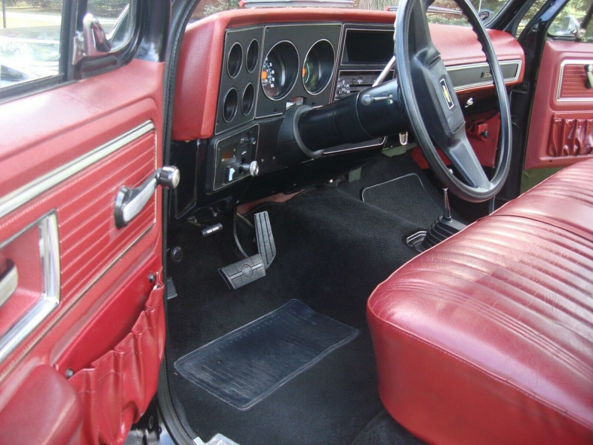 1979 Chevrolet Other Pickups - photo 10