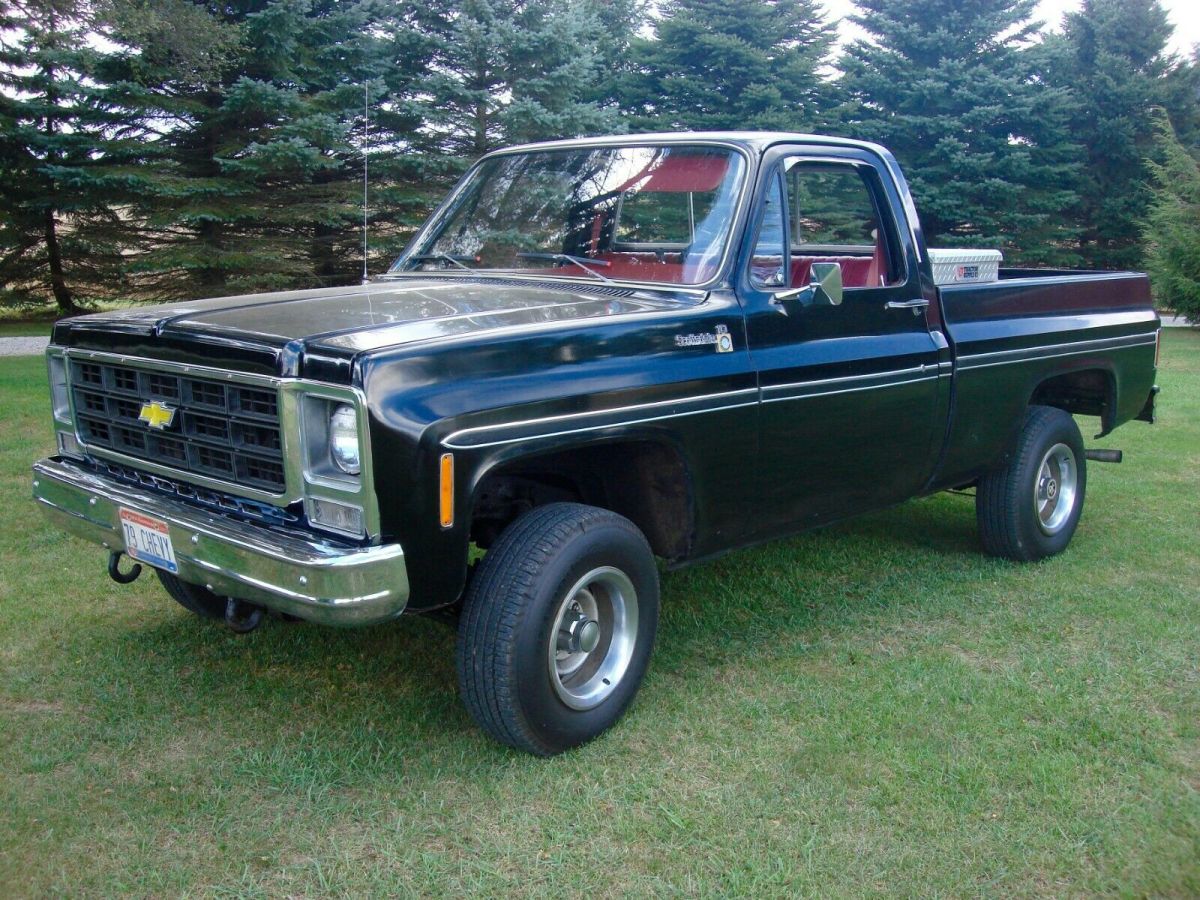1979 Chevrolet Other Pickups - photo 3