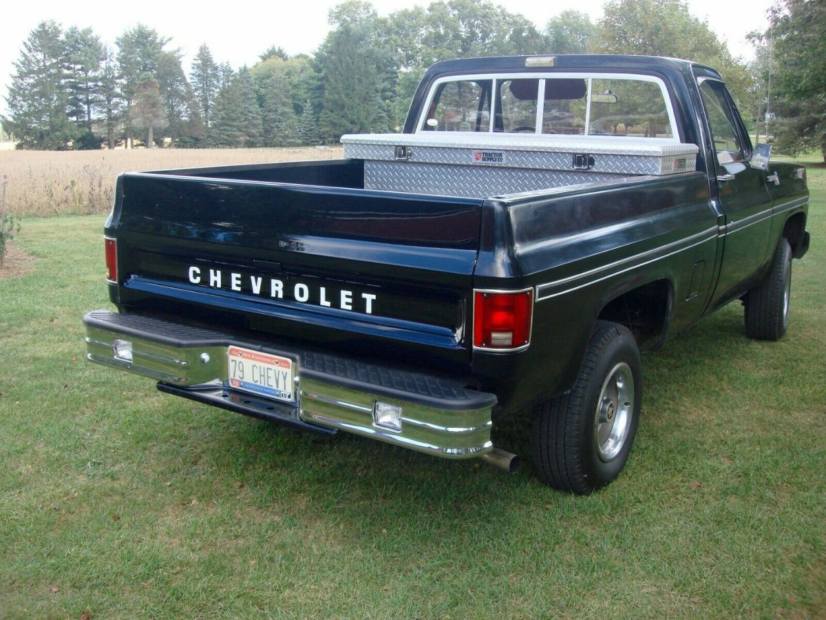 1979 Chevrolet Other Pickups - photo 4