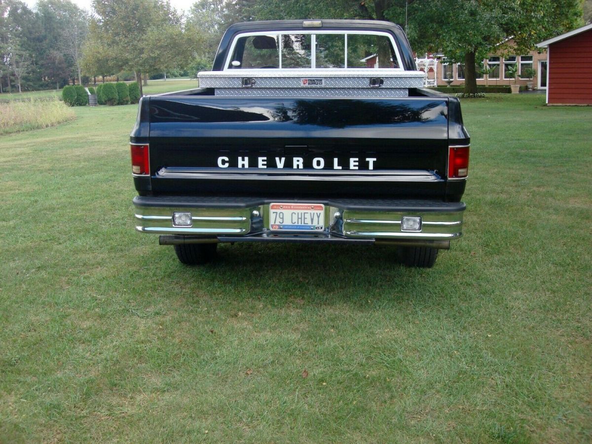 1979 Chevrolet Other Pickups - photo 5
