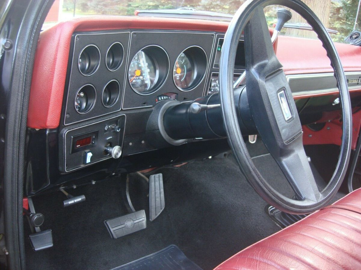 1979 Chevrolet Other Pickups - photo 9