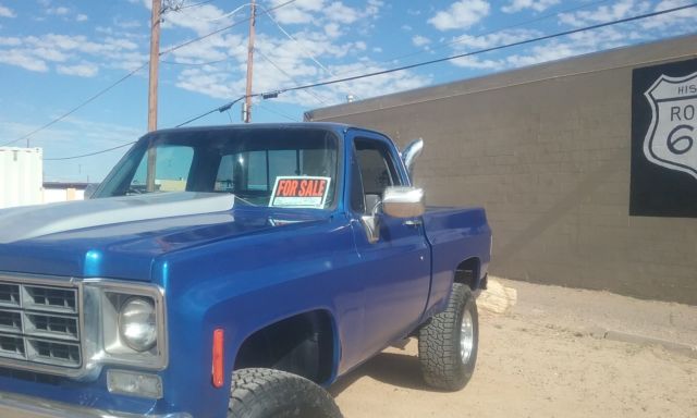 1979 Chevrolet C/K Pickup 1500