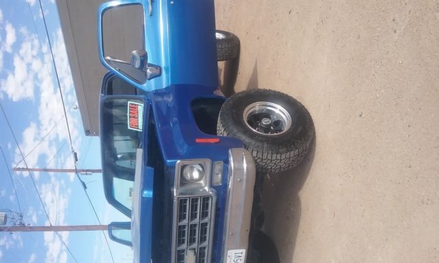 1979 Chevrolet C/K Pickup 1500 - photo 7