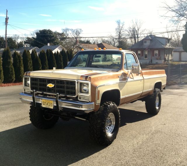1979 Chevrolet C/K Pickup 2500 Scottsdale / Silverado - photo 2