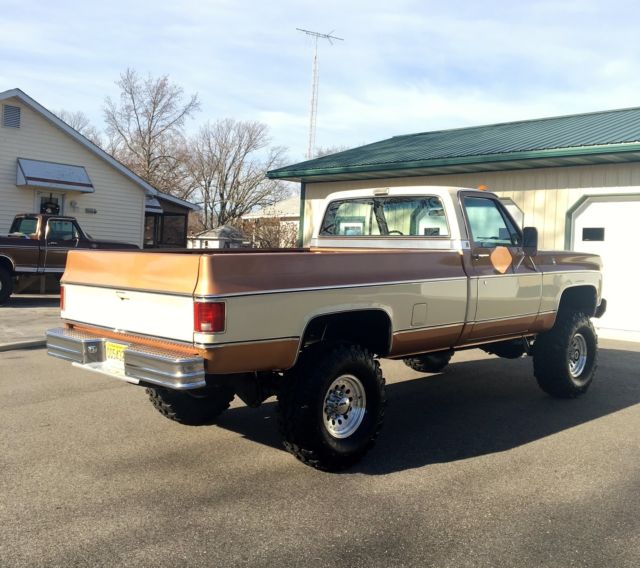 1979 Chevrolet C/K Pickup 2500 Scottsdale / Silverado - photo 6