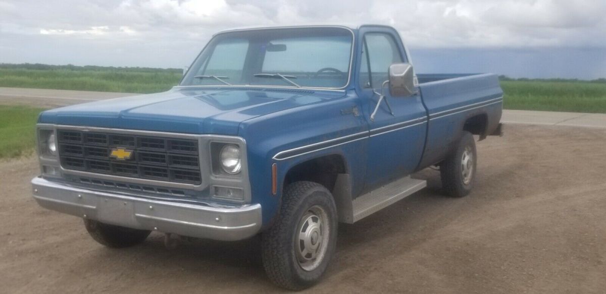 1979 Chevrolet K-20 Scottsdale - photo 2