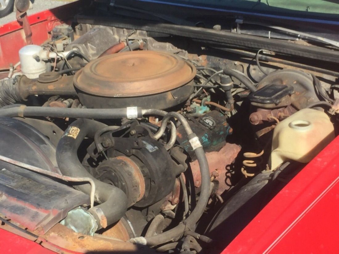 1979 Chevrolet Malibu - photo 10