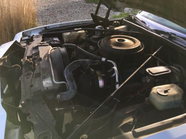 1979 Chevrolet Monte Carlo - photo 3