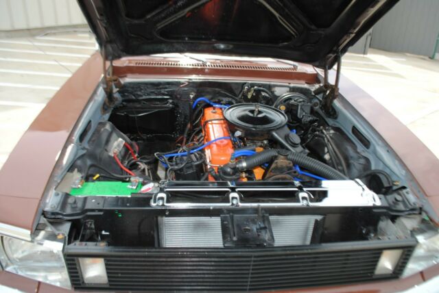 1979 Chevrolet Nova - photo 4