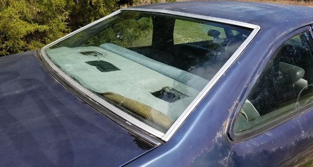 1979 Chevrolet Nova Custom Coupe 2-Door - photo 8