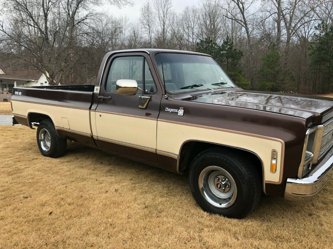 1979 Chevrolet Cheyenne - photo 2