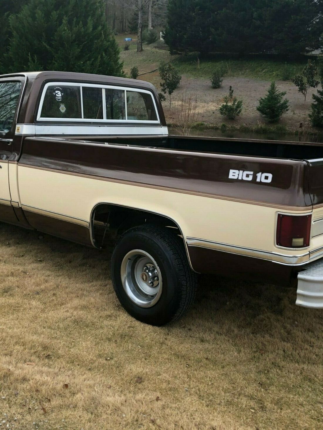 1979 Chevrolet Cheyenne - photo 4