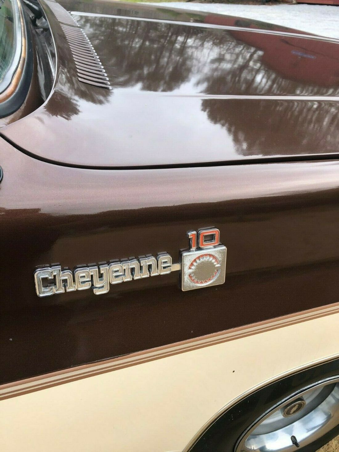 1979 Chevrolet Cheyenne - photo 7