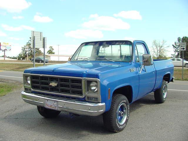 1979 Chevrolet C/K Pickup 1500 BLUE/WHITE - photo 3