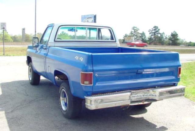 1979 Chevrolet C/K Pickup 1500 BLUE/WHITE - photo 4