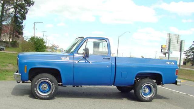 1979 Chevrolet C/K Pickup 1500 BLUE/WHITE - photo 5