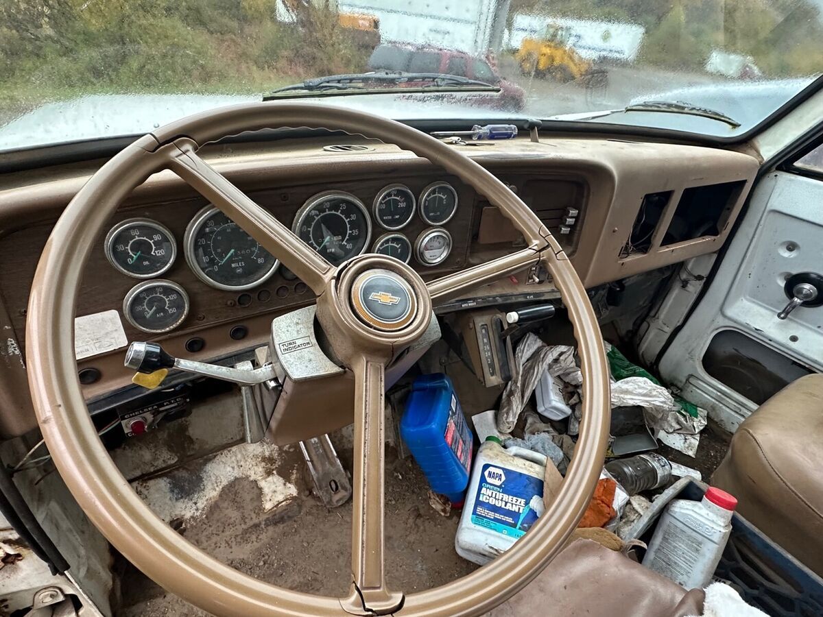 1979 Chevrolet Series H3 bruin - photo 11