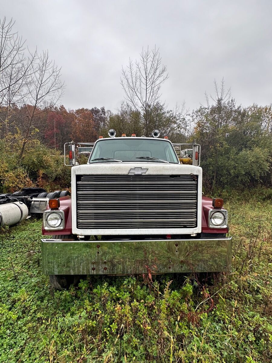 1979 Chevrolet Series H3 bruin - photo 2