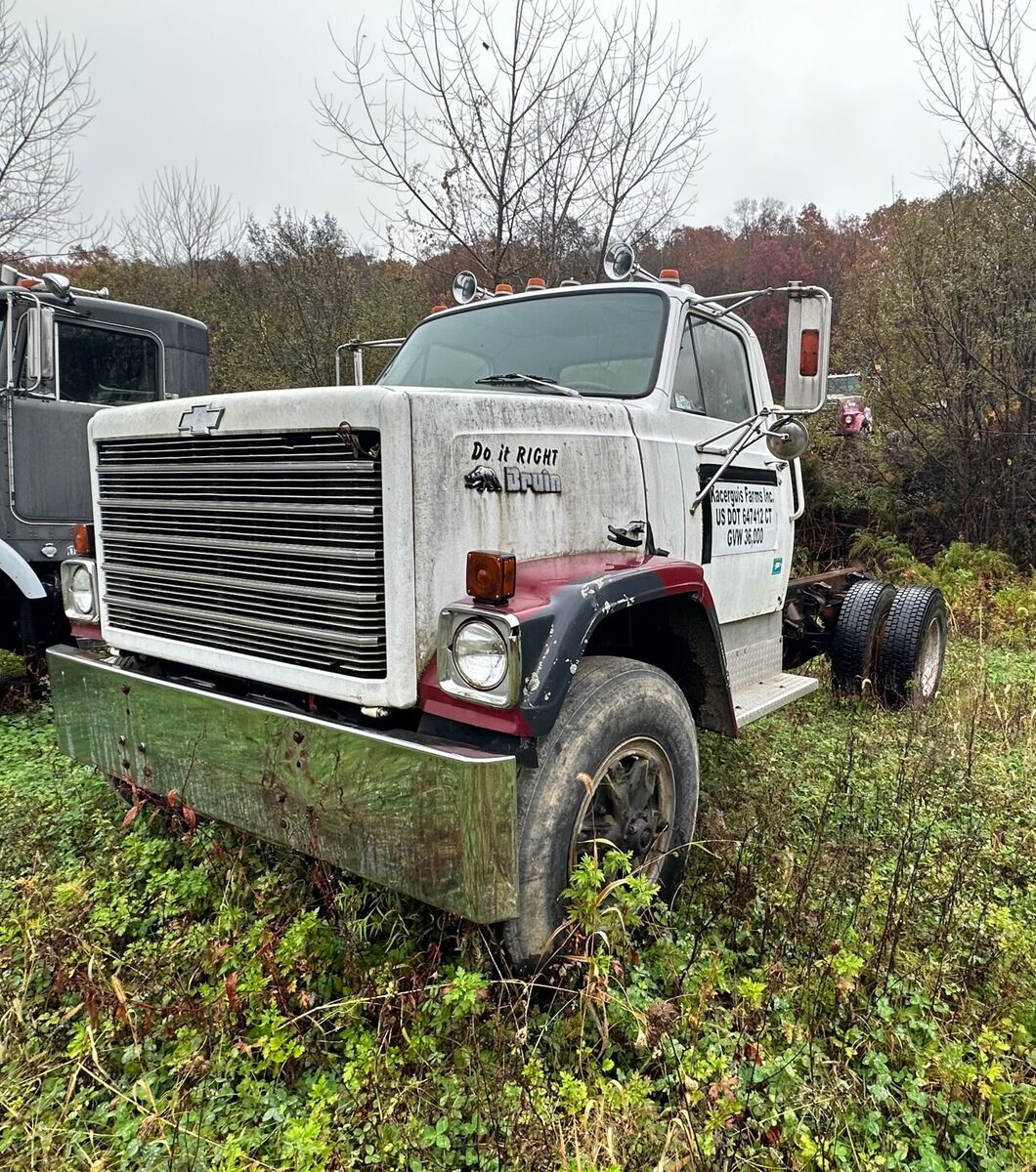 1979 Chevrolet Series H3 bruin - photo 4