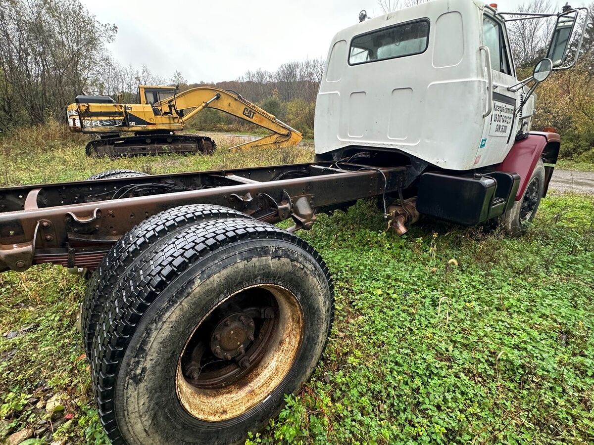 1979 Chevrolet Series H3 bruin - photo 6