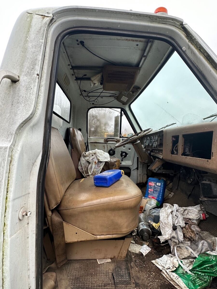 1979 Chevrolet Series H3 bruin - photo 9