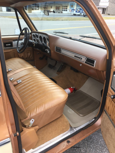 1979 Chevrolet C-10 Silverado - photo 12