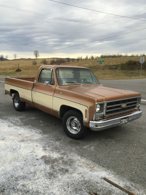1979 Chevrolet C-10 Silverado - photo 2