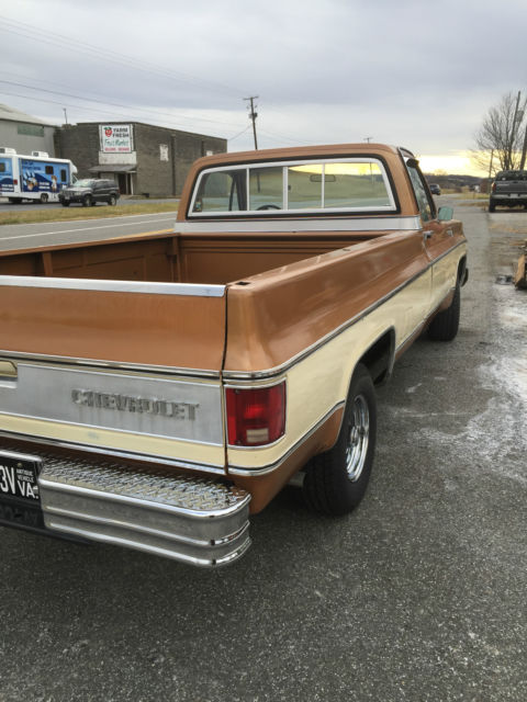 1979 Chevrolet C-10 Silverado - photo 4