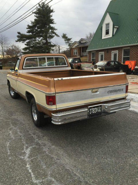 1979 Chevrolet C-10 Silverado - photo 5