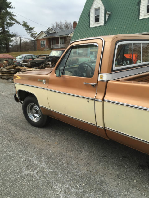1979 Chevrolet C-10 Silverado - photo 7