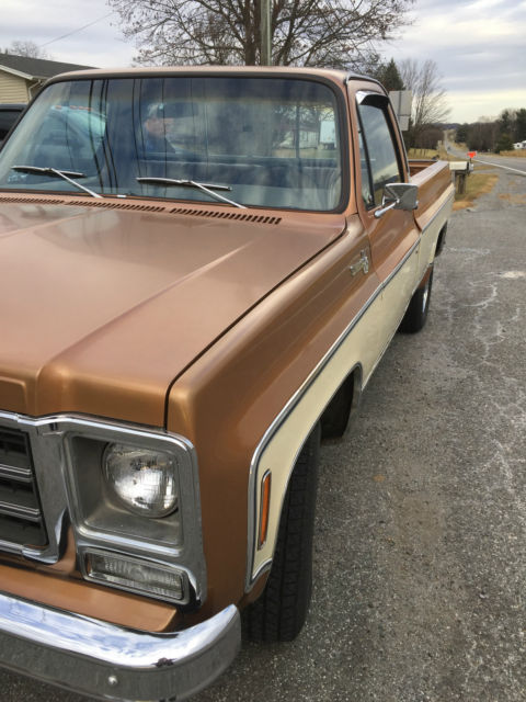 1979 Chevrolet C-10 Silverado - photo 9